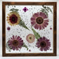 Pressed Flower Picture Frame