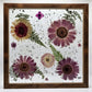 Pressed Flower Picture Frame