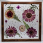 Pressed Flower Picture Frame