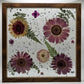 Pressed Flower Picture Frame