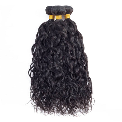 10A Grade 1/3/4 Water Wave Weave Malaysian Human Hair Extension Bundle - Walbiz.com