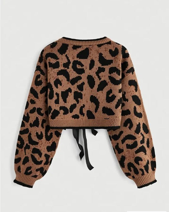Leopard Print Cropped Sweater