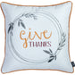 Set of 2 18inches Thanksgiving Pie Throw Pillow Cover in Multicolor