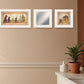 Set Of Three Nature Bath 1 White Framed Print Bathroom Wall Art