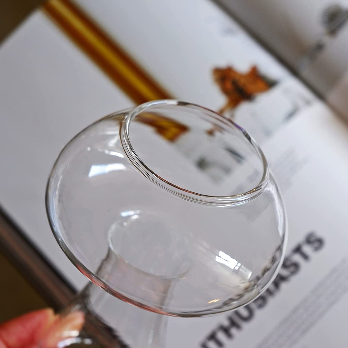 Mushroom Glass Drinkware- 16oz