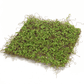 Set Of 12 Premium 12" Square Moss Mats