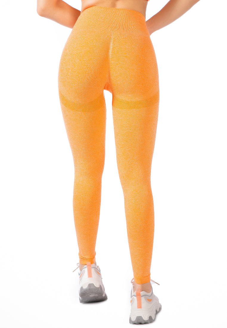 High Waist Gym Leggings