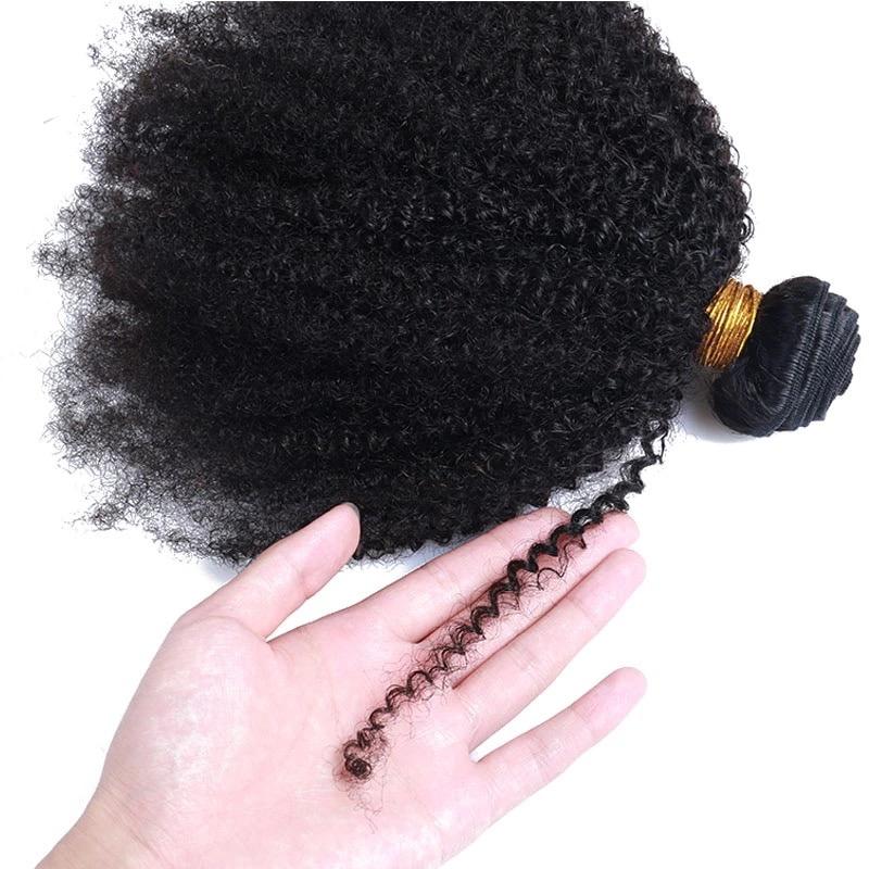 BeuMax 10A Grade 3/4 Afro Kinky Curly Bundles with 4x4 Closure