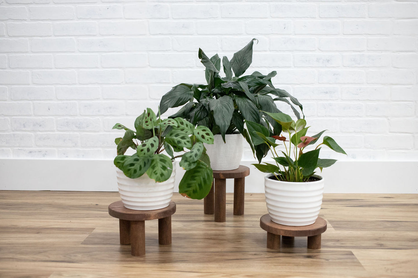 Pedestal Plant Stands, Set of 3 Wood Risers
