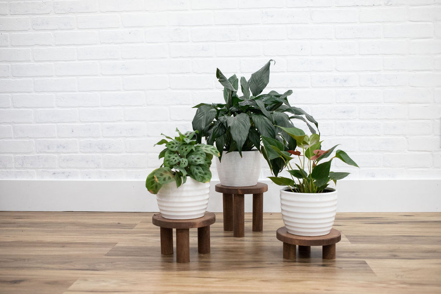 Pedestal Plant Stands, Set of 3 Wood Risers