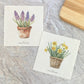 Set of Basket of Daffodils & Potted Hyacinths - Spring 2pk Swedish
