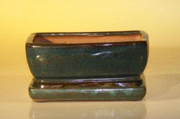 Green Ceramic Bonsai Pot  With Attached Humidity/Drip tray -