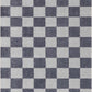 Alie Gray Checkered Washable Area Rug