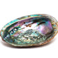 Smudge Ash Tray Burner - Abalone shell - Large 5"-6"