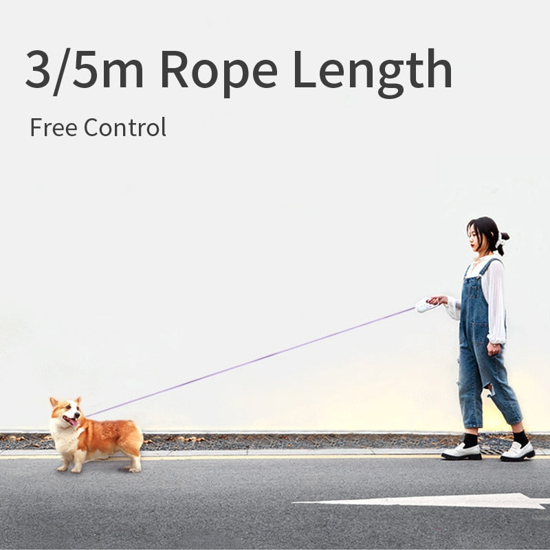 Automatic Retractable Lighting Dog Leash - Walbiz.com
