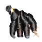 10A Grade 3/4 Romance Curl Fumi Human Hair bundles with 4x4 Closures &