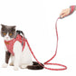 Cat Explorer Adventure Set