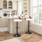 Bar Stool Set of 2, Counter Height Stools with Bentwood