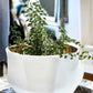 Handmade Elegant White & Gold Ceramic Planter/Pot