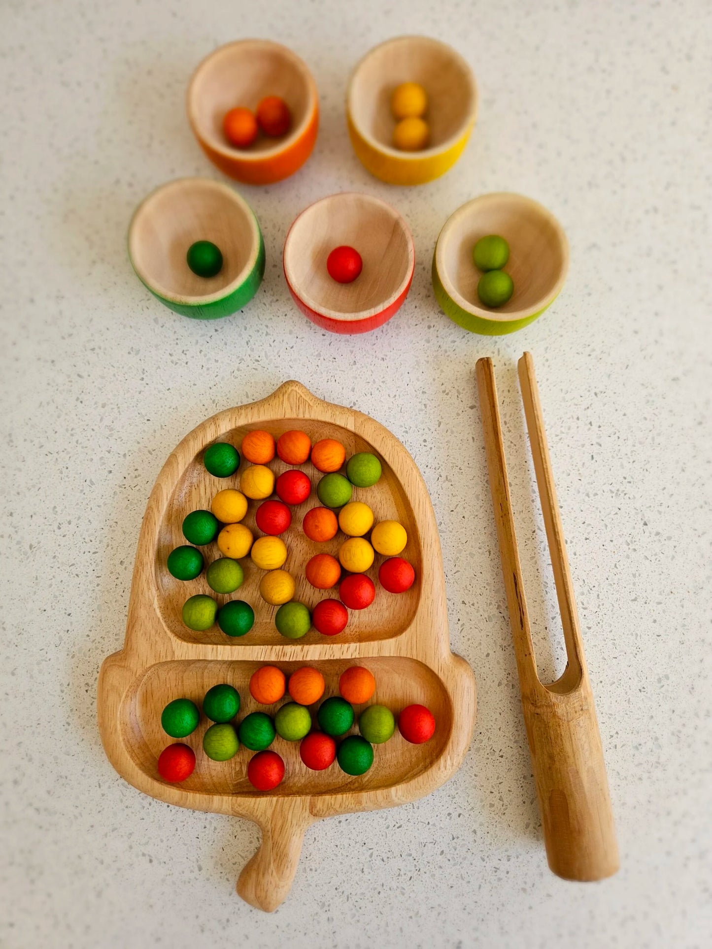 QToys Australia (USA) Acorn Tray