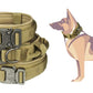 Fast Shipping Durable Military Tactical Dog Collar