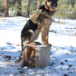 Military Dog Tactical Harness, Collar, and Leash Gear (Complete Set)