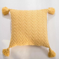 Spring Throw Pillow Cover, Accent Pillow Cover 18x18 inches