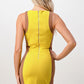 Sculpted Bodycon Mini Dress with Contrasting Panels