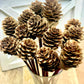 Mini Pine Cone, 9” Rattan Wood Reed Diffusers Replacement Sticks, 16