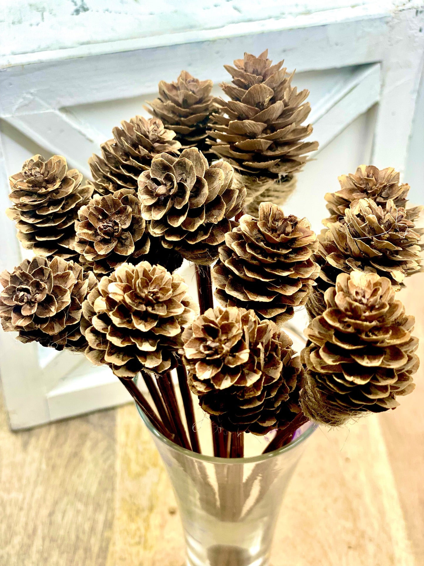 Mini Pine Cone, 9” Rattan Wood Reed Diffusers Replacement Sticks, 16