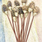 Mini Pine Cone, 9” Rattan Wood Reed Diffusers Replacement Sticks, 16