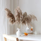 Retro Vase Set